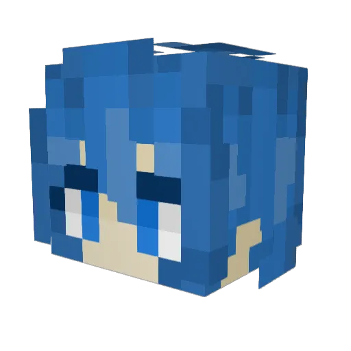jaydong123 Minecraft avatar head, 3D render