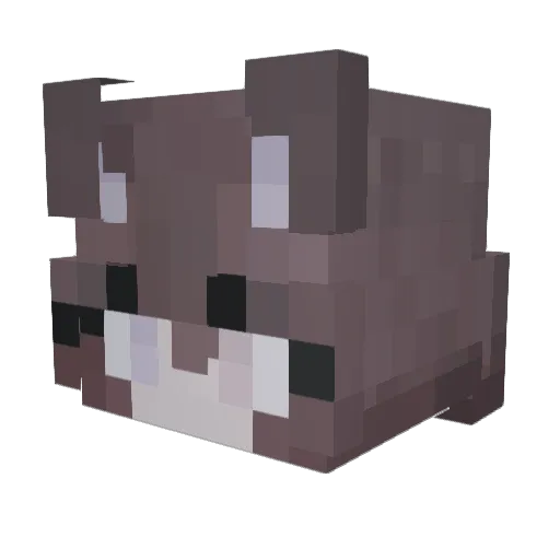 jaydou Minecraft avatar head, 3D render
