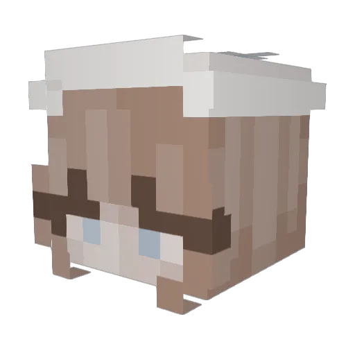 jaydrain Minecraft avatar head, 3D render