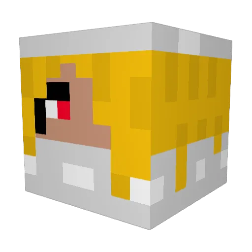 jayefrost Minecraft avatar head, 3D render