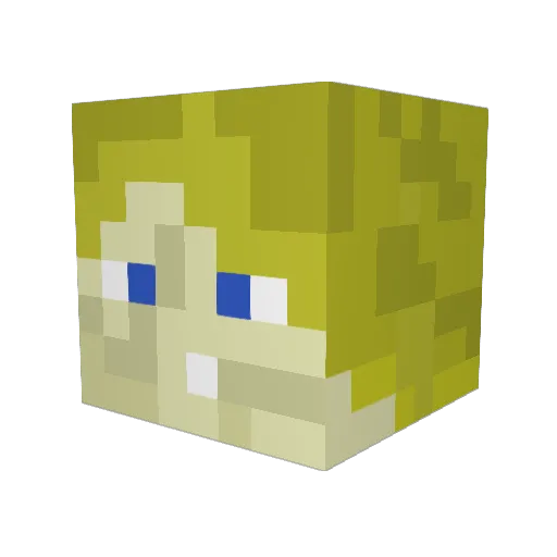 jayelynas123 Minecraft avatar head, 3D render