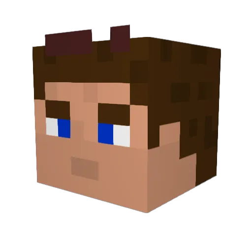 jayhawk3 Minecraft avatar head, 3D render