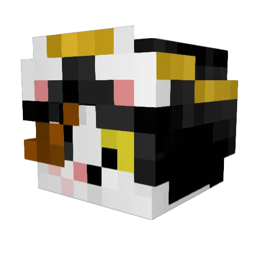 jayjay197 Minecraft avatar head, 3D render