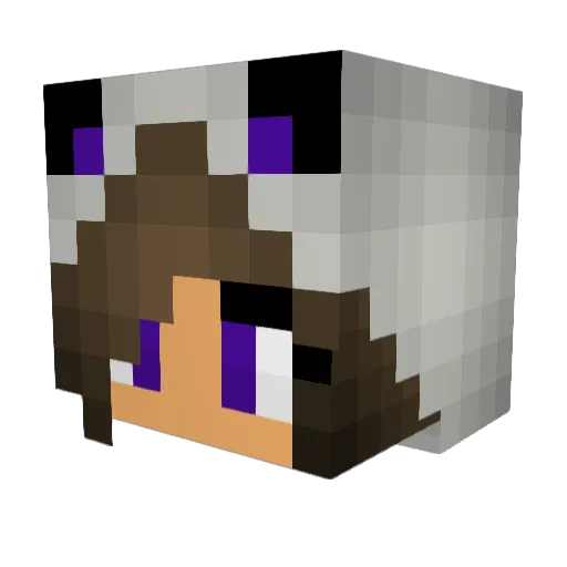 jayjayknight Minecraft avatar head, 3D render