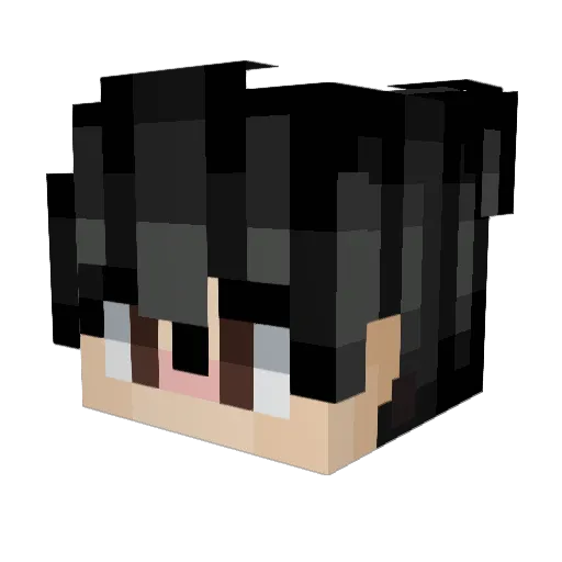 jaykay1337 Minecraft avatar head, 3D render