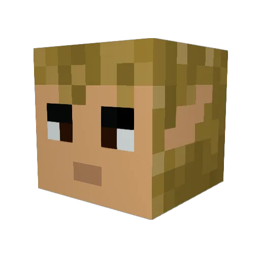 jayke1406 Minecraft avatar head, 3D render
