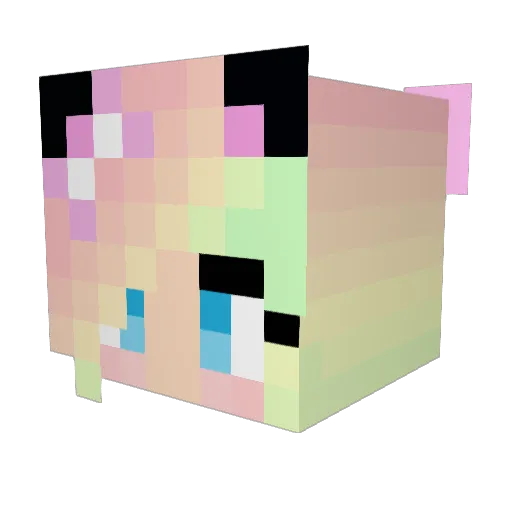 jaylapoopie Minecraft avatar head, 3D render