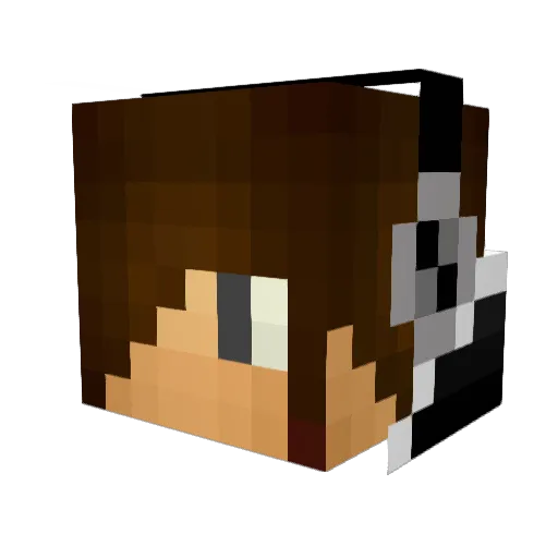 jaylaypay Minecraft avatar head, 3D render