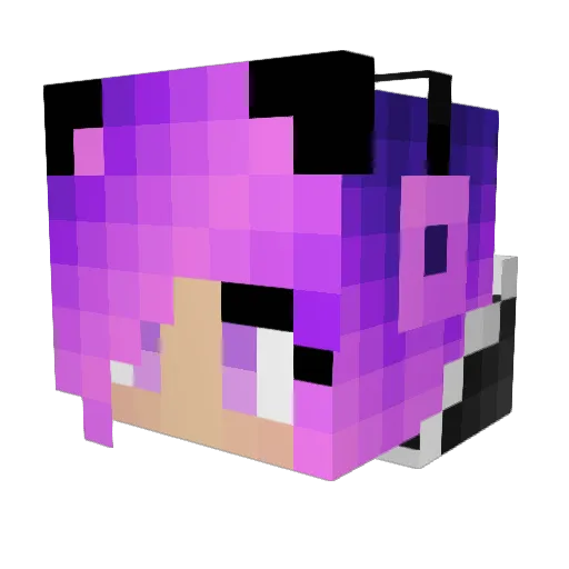 jaylenbryce2003 Minecraft avatar head, 3D render