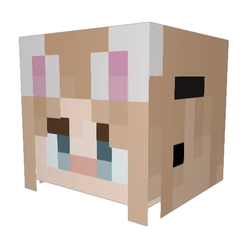 jaylorsch Minecraft avatar head, 3D render