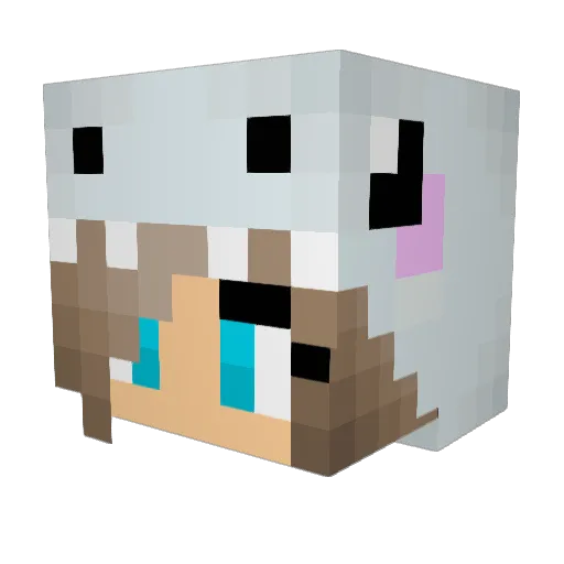 jaym_jaym Minecraft avatar head, 3D render