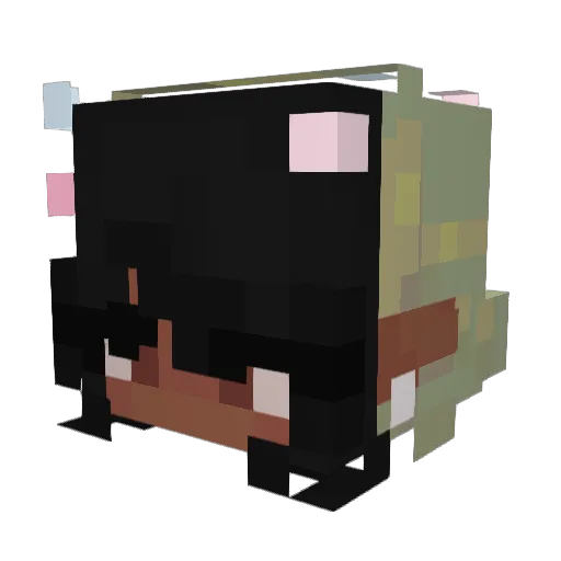 jaymaka Minecraft avatar head, 3D render