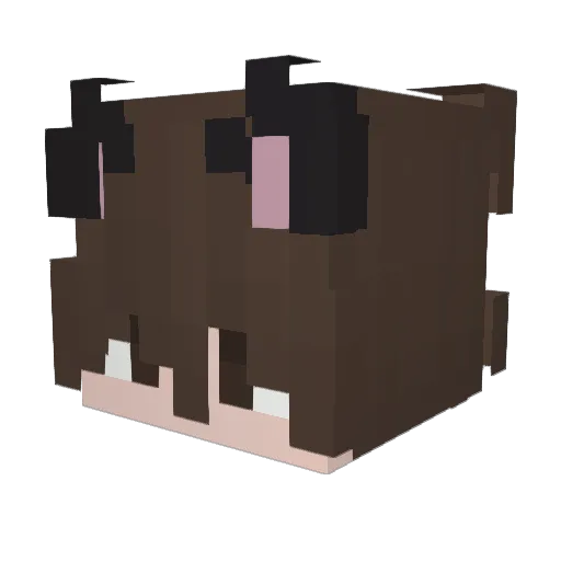 jaymitc Minecraft avatar head, 3D render