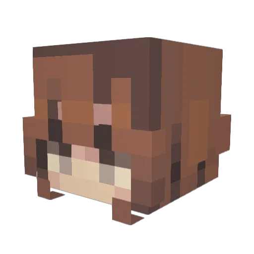 jaynalya Minecraft avatar head, 3D render