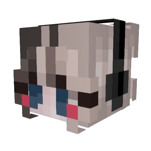 jaynario Minecraft avatar head, 3D render