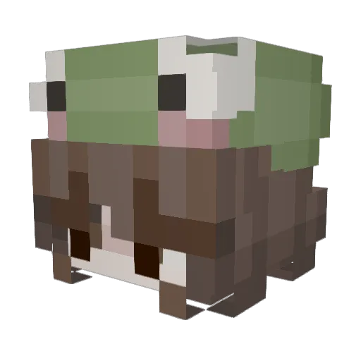 jaynayoon Minecraft avatar head, 3D render