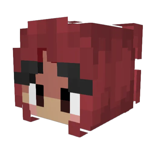 jayphyn Minecraft avatar head, 3D render