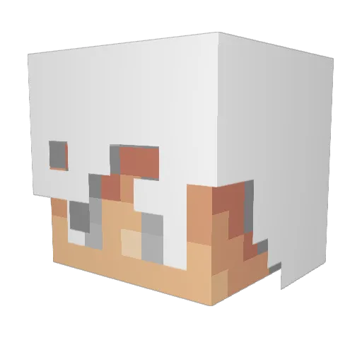 jayray201 Minecraft avatar head, 3D render