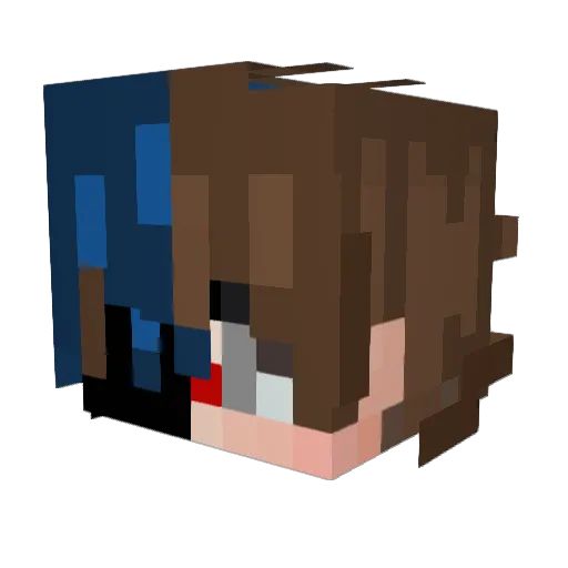 jaysonyeets Minecraft avatar head, 3D render