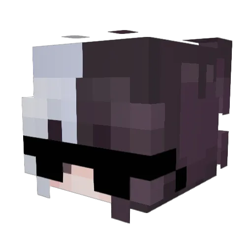 jaytongtongjay Minecraft avatar head, 3D render