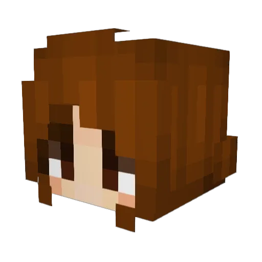 jazervalen Minecraft avatar head, 3D render