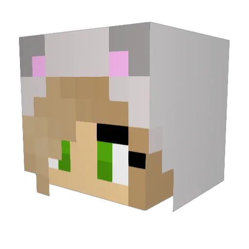 jazminemullins Minecraft avatar head, 3D render