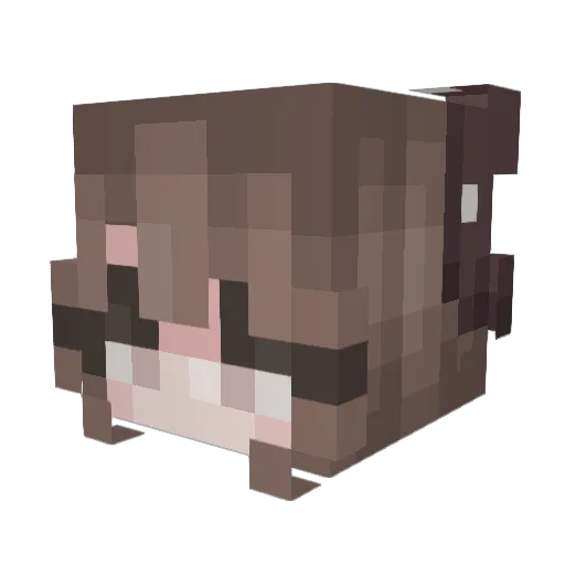 jaztbh Minecraft avatar head, 3D render