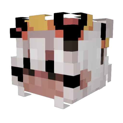 jazzkk8 Minecraft avatar head, 3D render