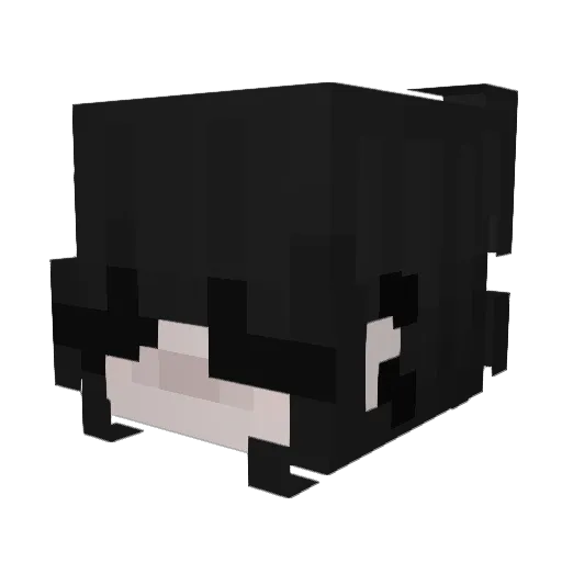 jazznit Minecraft avatar head, 3D render