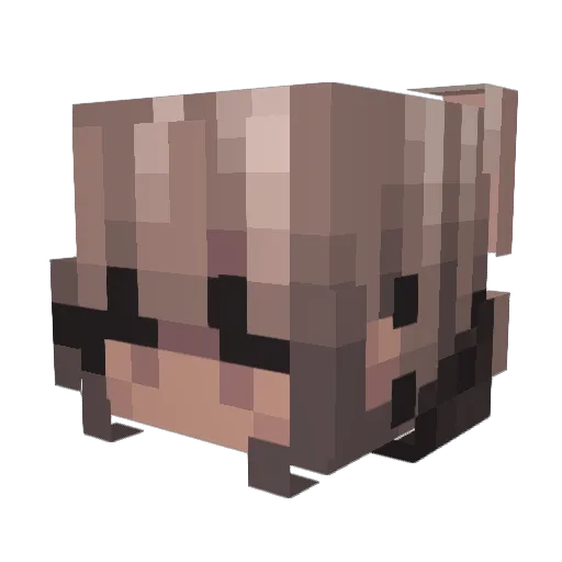 jazzy_l0ve Minecraft avatar head, 3D render