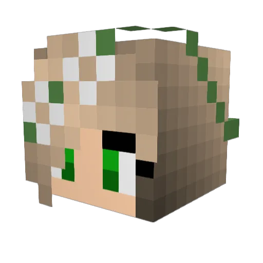 jazzyb269 Minecraft avatar head, 3D render