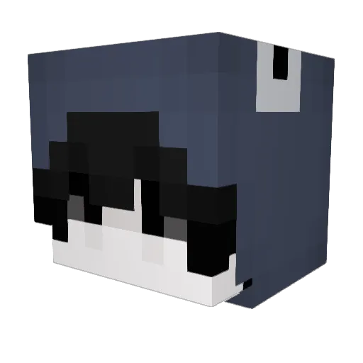 jazzyvv Minecraft avatar head, 3D render