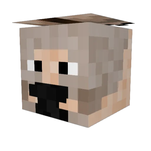 jb5111 Minecraft avatar head, 3D render