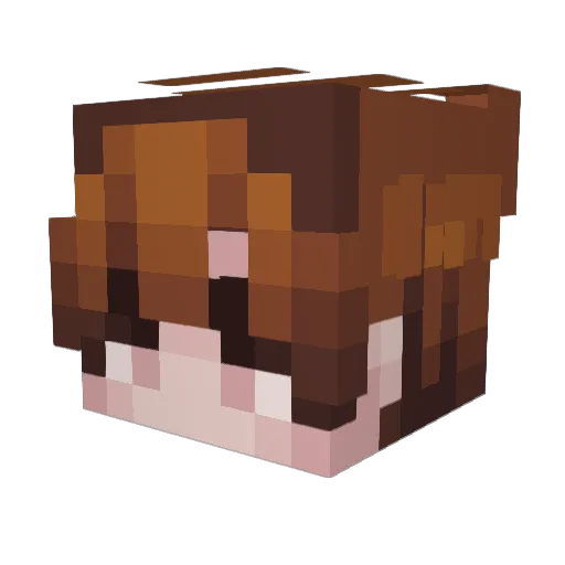 jb5r Minecraft avatar head, 3D render