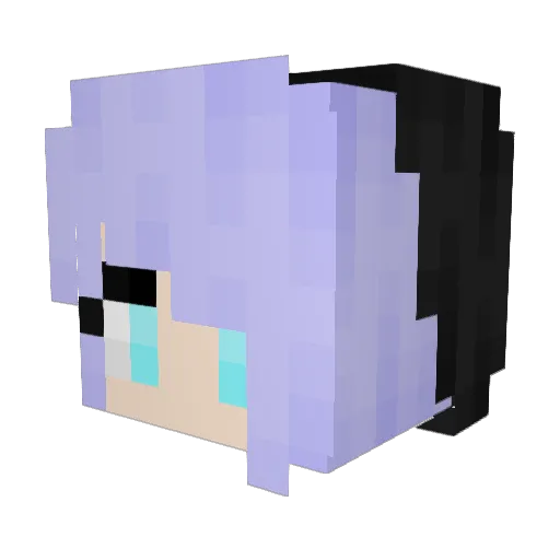 jbes6 Minecraft avatar head, 3D render