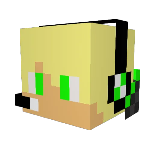 jbh0y00 Minecraft avatar head, 3D render