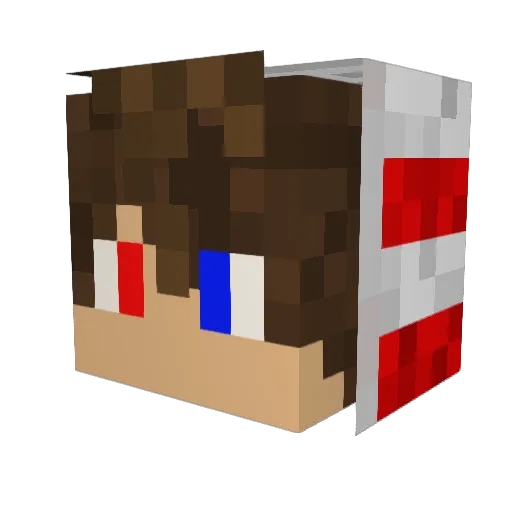 jbirdhill Minecraft avatar head, 3D render