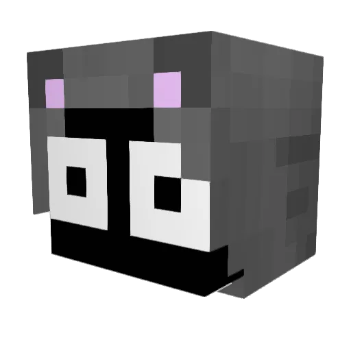 jbone4981 Minecraft avatar head, 3D render