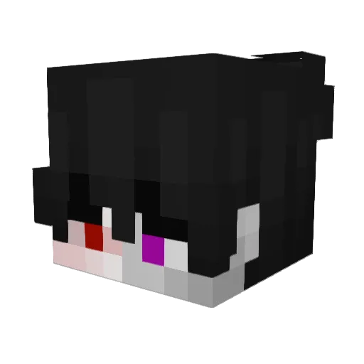 jborts14 Minecraft avatar head, 3D render