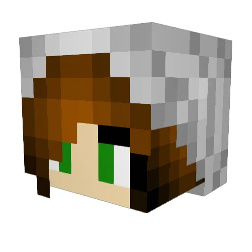 jboth Minecraft avatar head, 3D render