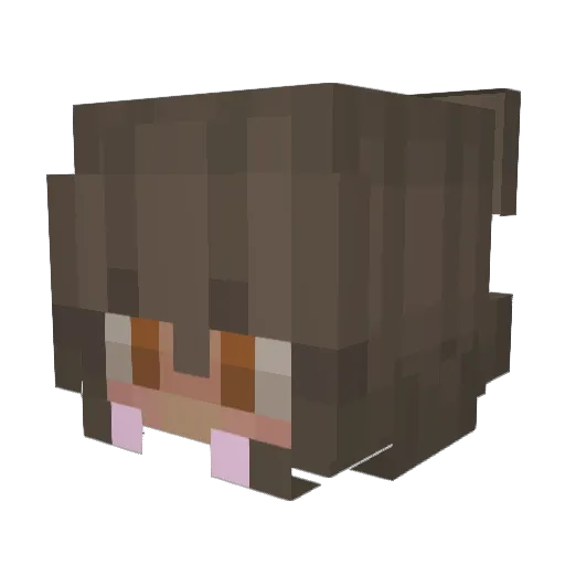 jc_asian Minecraft avatar head, 3D render