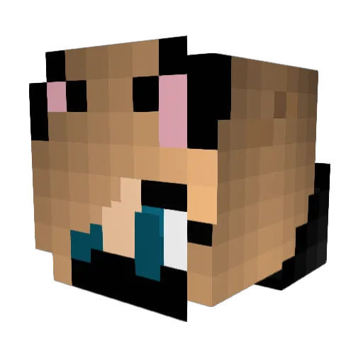 jcaylo Minecraft avatar head, 3D render