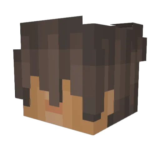 jcb85 Minecraft avatar head, 3D render
