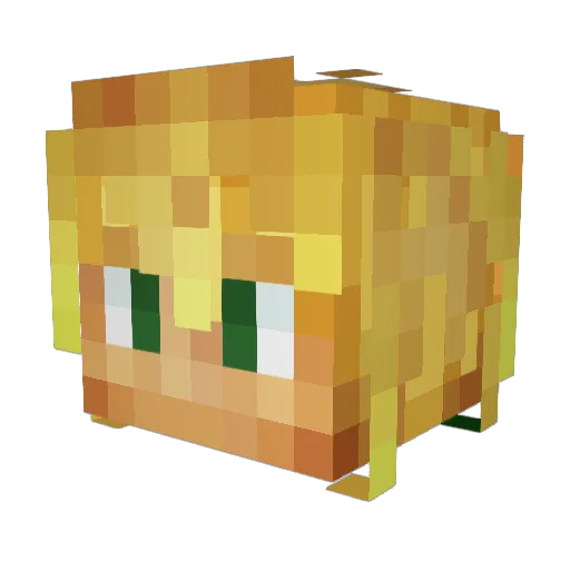 jcollins11 Minecraft avatar head, 3D render