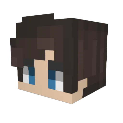 jcookie19203 Minecraft avatar head, 3D render