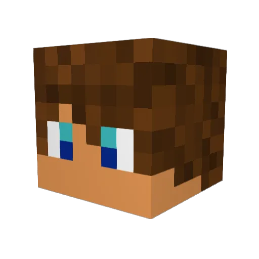 jd64279 Minecraft avatar head, 3D render