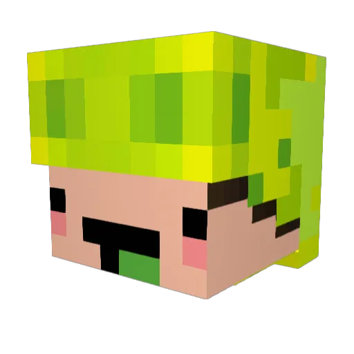 jdawg164 Minecraft avatar head, 3D render