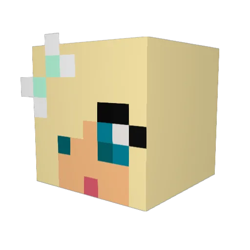 jdawg5423 Minecraft avatar head, 3D render
