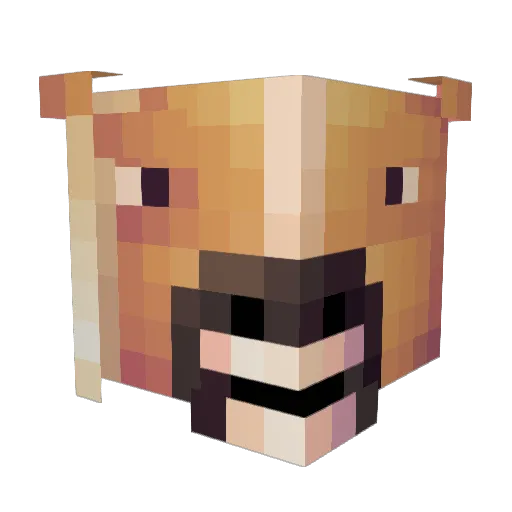 jdbradford666 Minecraft avatar head, 3D render