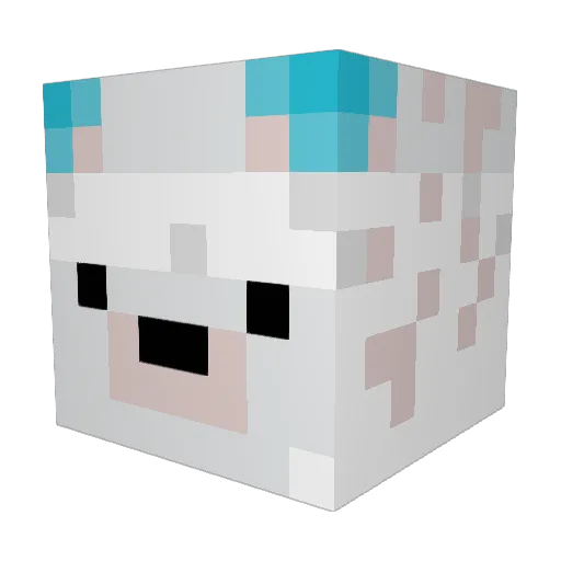 jdeip Minecraft avatar head, 3D render